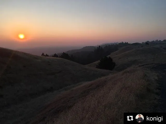 Mt. Tam