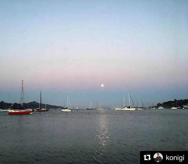 Clipper Yacht Harbor