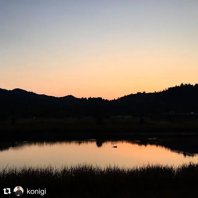 Marin at Dusk