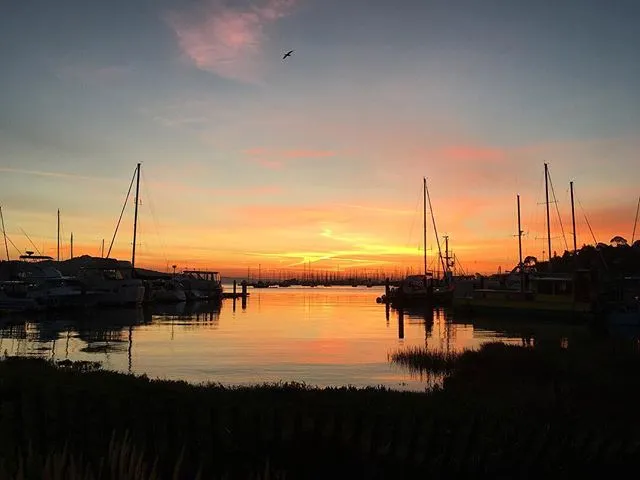 Sunrise in Richardson Bay