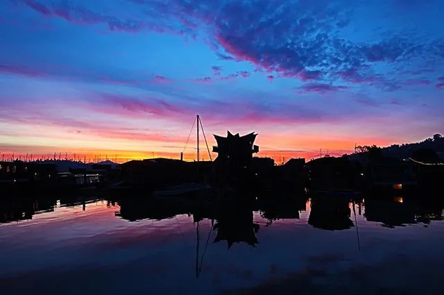 Early to Rise