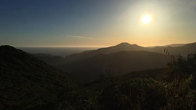 Long Days, More Chances to Catch the Sun