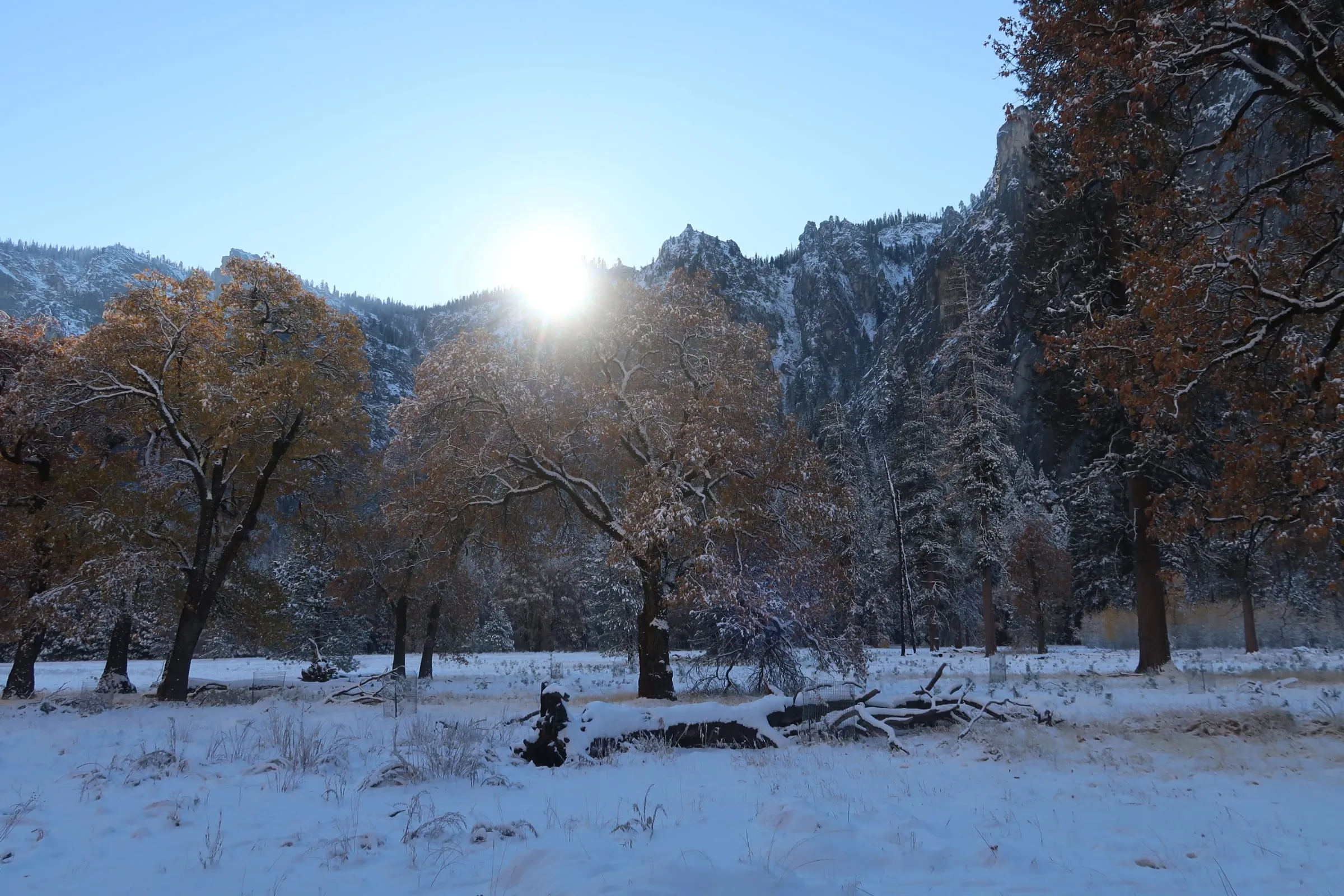 Sunrise from Snowy Cook's Meadow